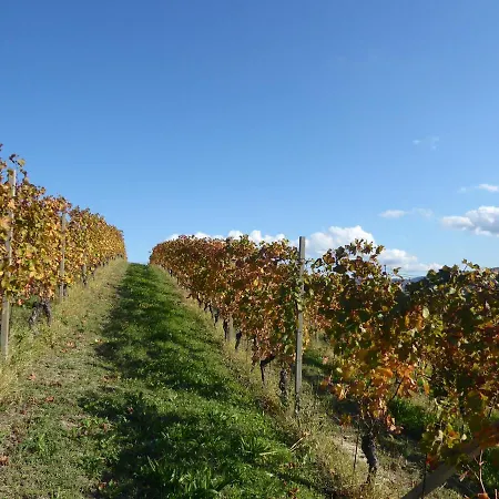 La Vite E Bella بيت ضيافة جوفونه