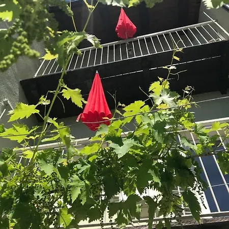 Konukevi La Vite E Bella