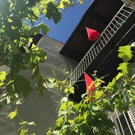 La Vite E Bella 3* Govone