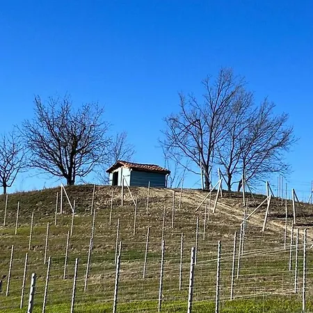 La Vite E Bella 3* Govone