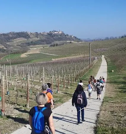 招待所 La Vite E Bella 3*