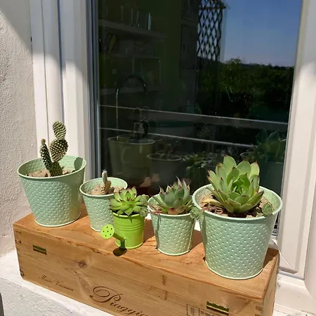 La Vite E Bella 招待所